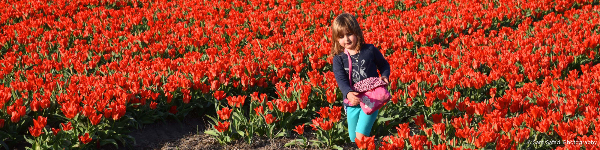 Netherland 1