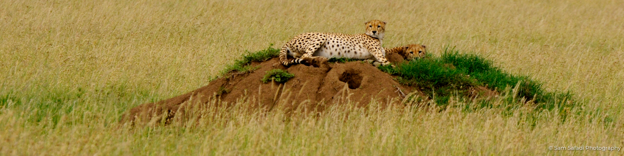 Tanzania 2